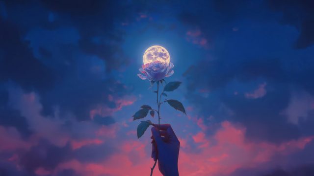 唯美月之花瓣4k壁纸