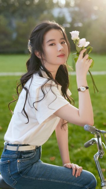 户外草坪刘亦菲手持白玫瑰手机壁纸