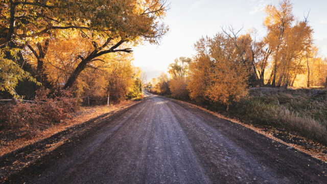 秋日林间公路4K风景壁纸下载