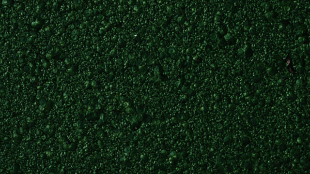 深绿色纹理背景4K高清桌面壁纸素材下载